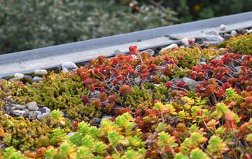 the cost of Peel green roof installation