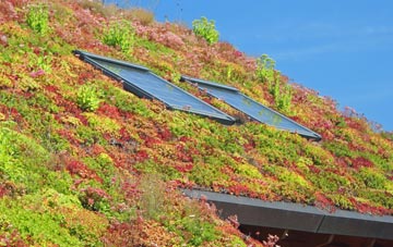Peel living roof systems